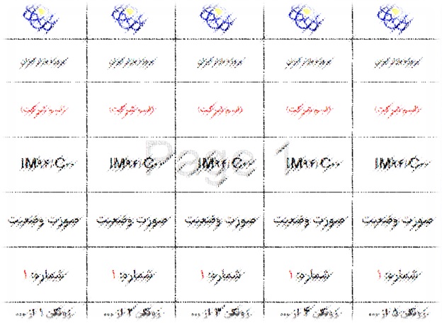 لیبل صورت وضعیت ها