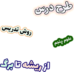 طرح درس و روش تدریس علوم پنجم، درس12 : از ریشه تا برگ