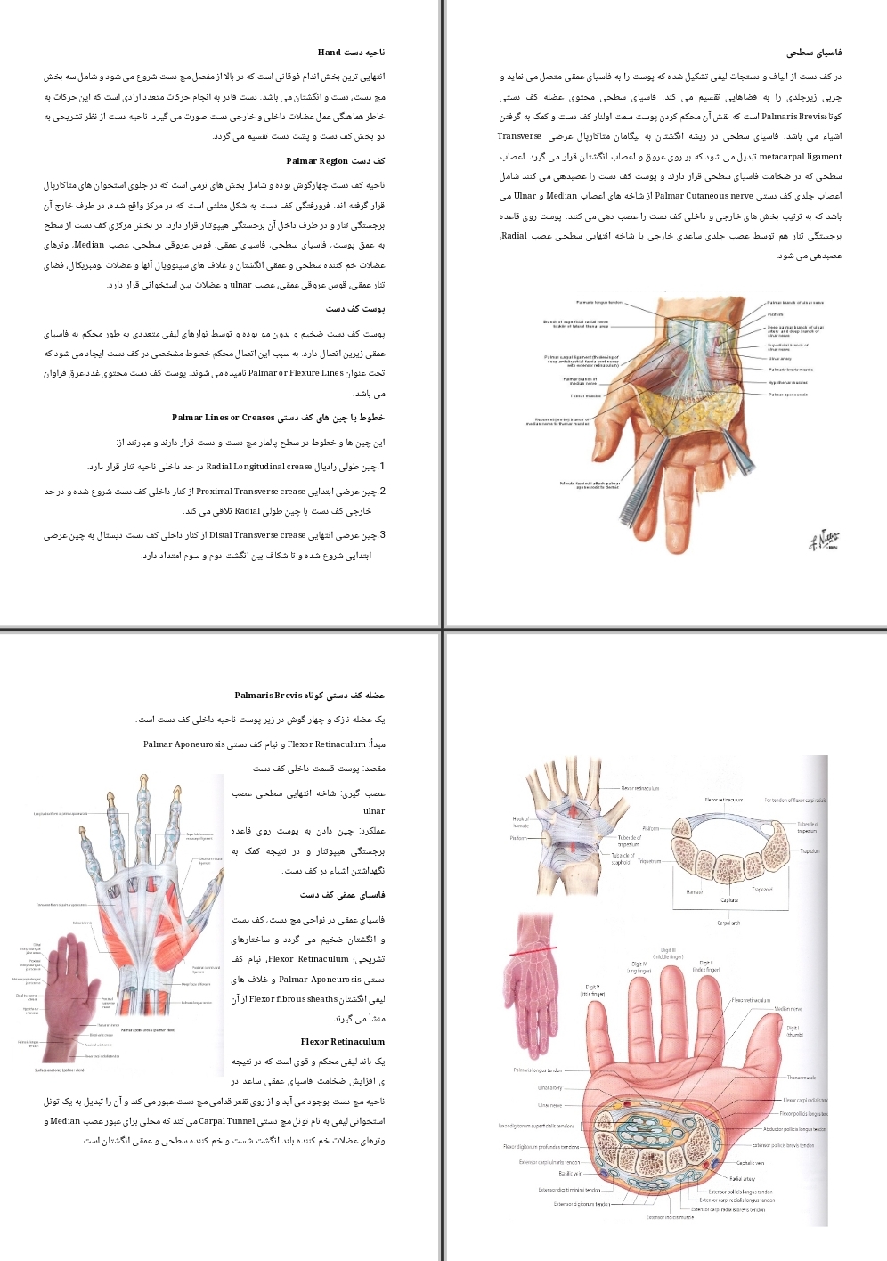 جزوه ناحیه دست Hand