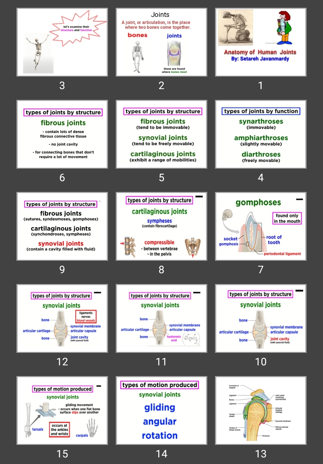 پاورپوینت Anatomy of Human Joints