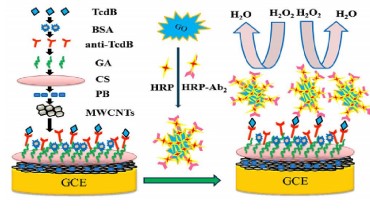 سنجش ایمنی الکتروشیمیایی، Electrochemical Immunoassay