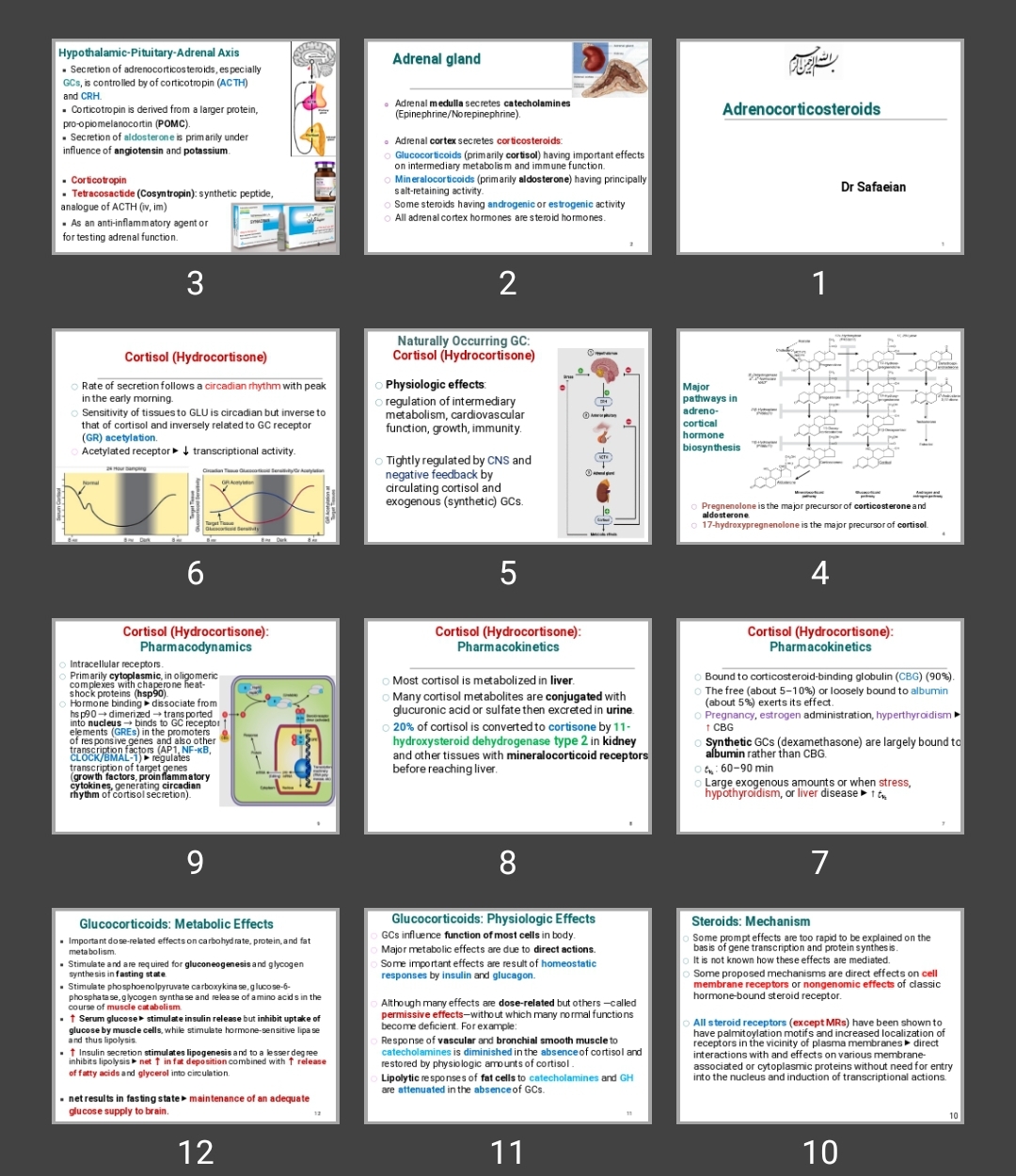 پاورپوینت Adrenocorticosteroids