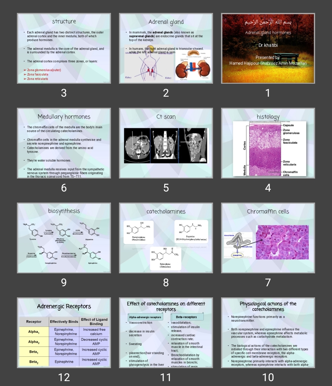 پاورپوینت Adrenal gland hormones