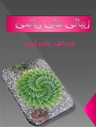 زیبائی های ریاضی