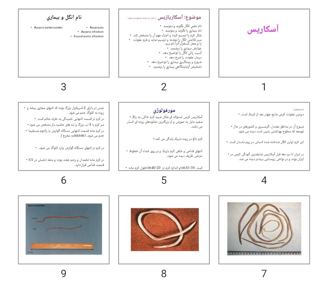 پاورپوینت آسكاريس
