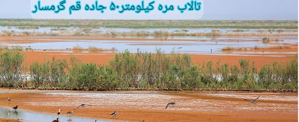 نگاهی به جاذبه های گردشگری واقتصادی تالاب  مره  قم