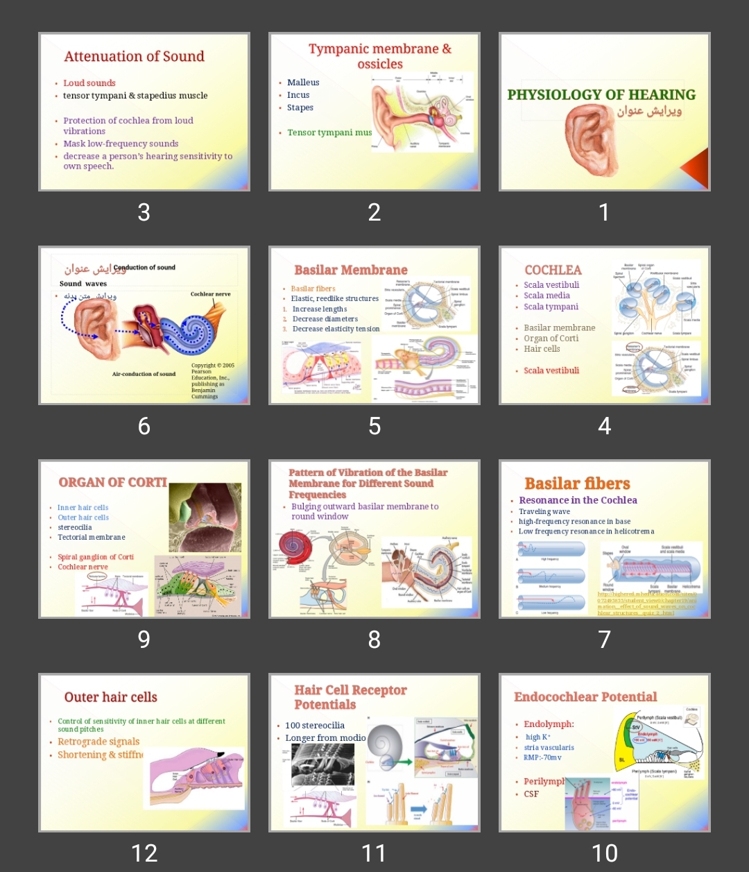 پاورپوینت PHYSIOLOGY OF HEARING