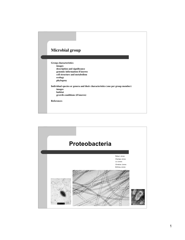 پروتئوباکتريها 🔬 نسخه کامل ✅