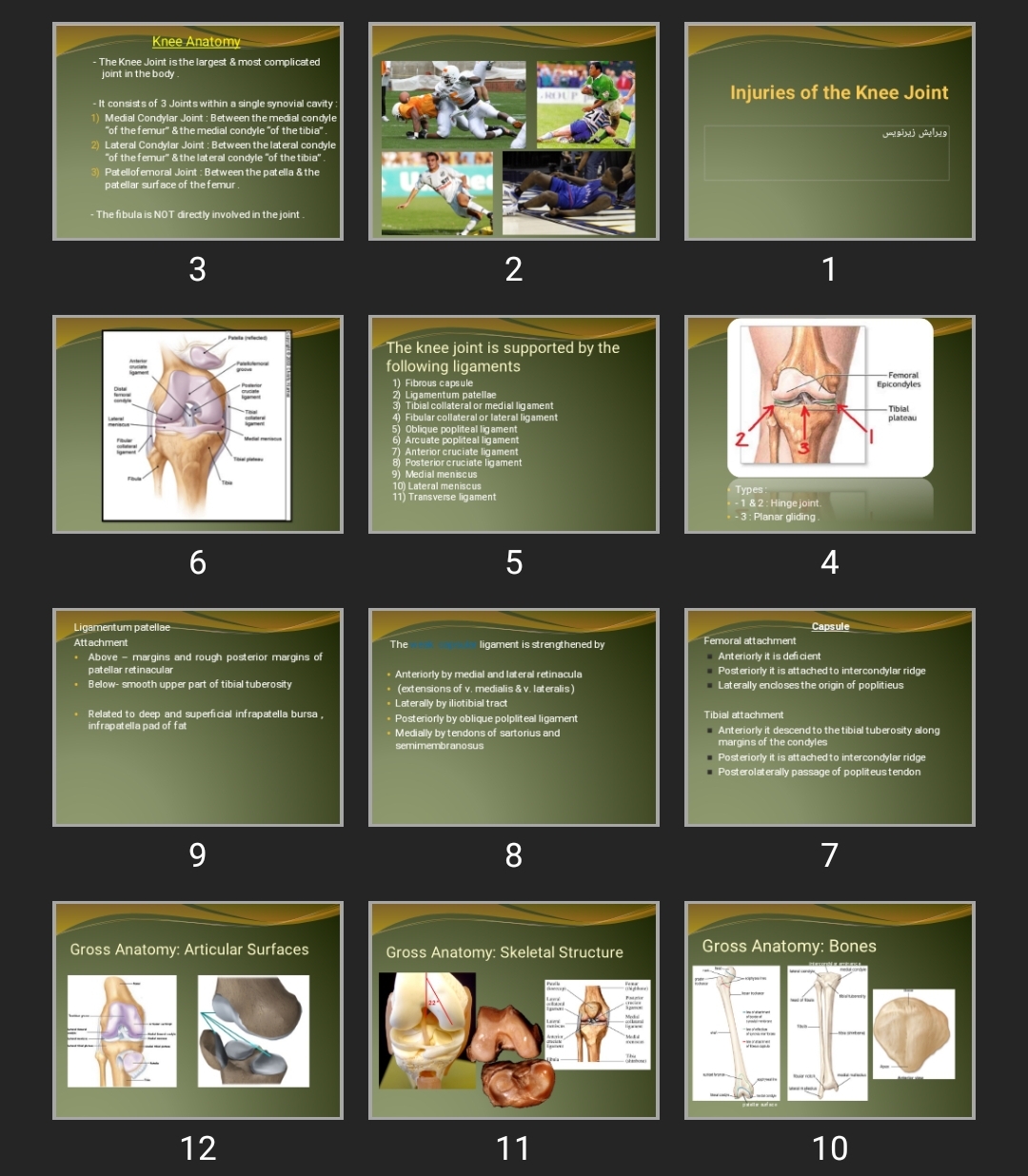 پاورپوینت Injuries of the Knee Joint