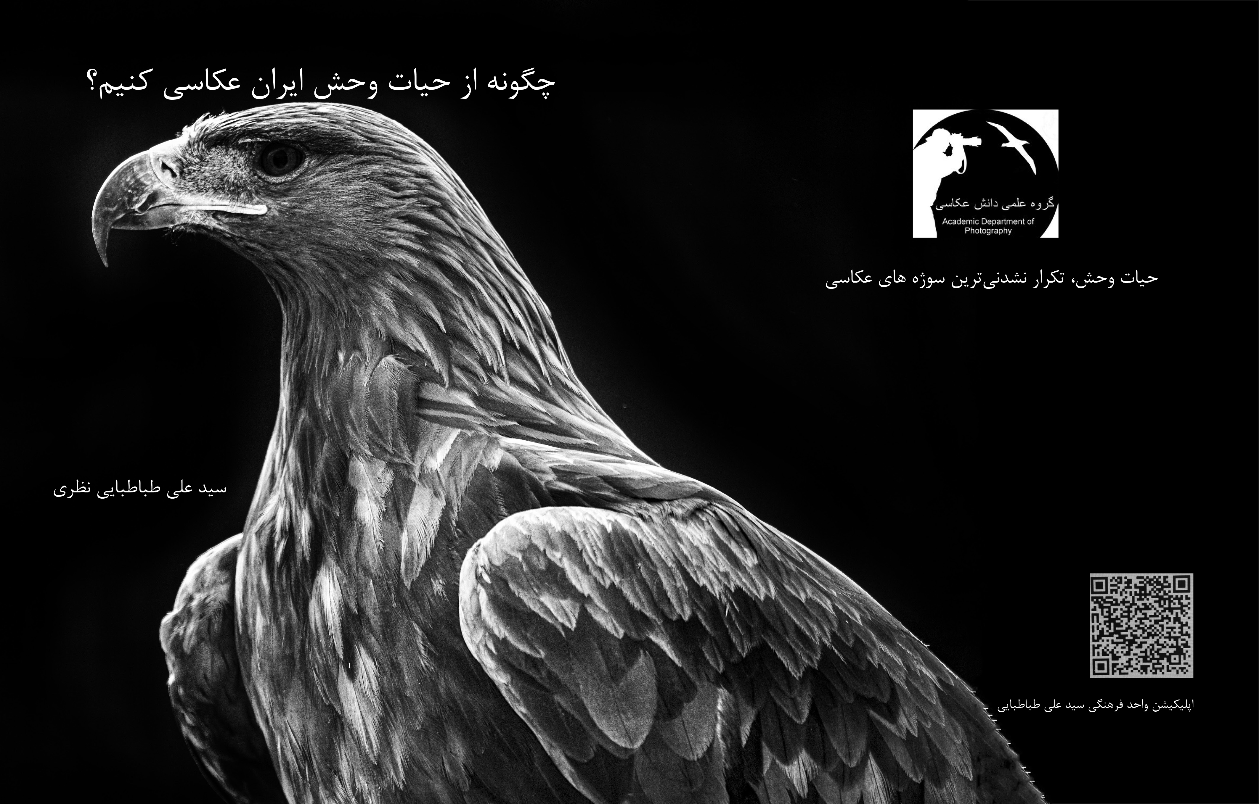 چگونه از حیات وحش ایران عکاسی کنیم؟