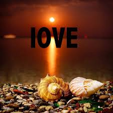 راز های تفاهم در روابط زناشویی (روابط متقابل)