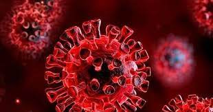 پاورپوینت ویروس کرونا