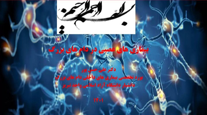 جزوه بیماری های عصبی در دام های بزرگ - ۳۸ صفحه