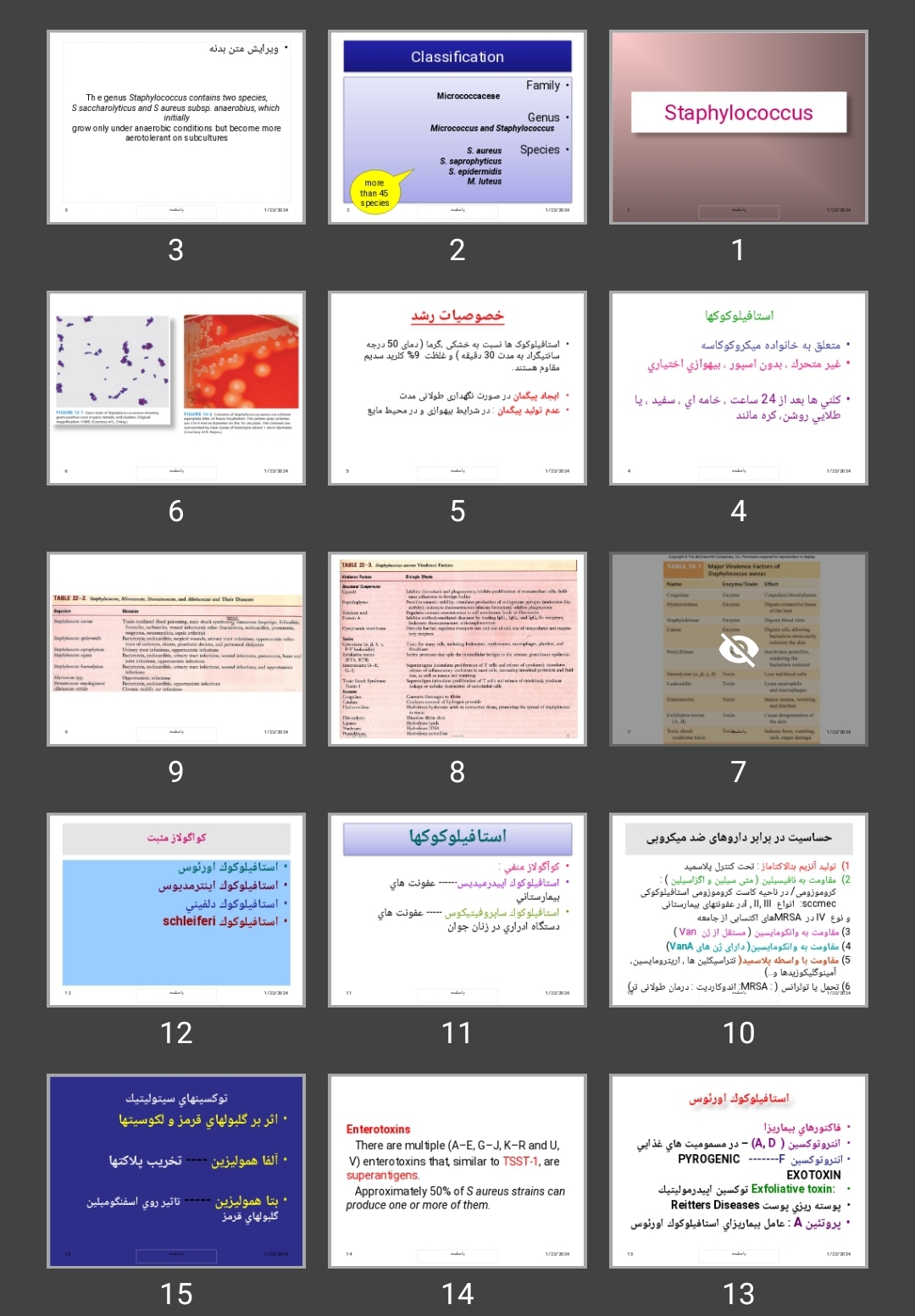 پاورپوینت استافيلوكوک ها (Staphylococcus)