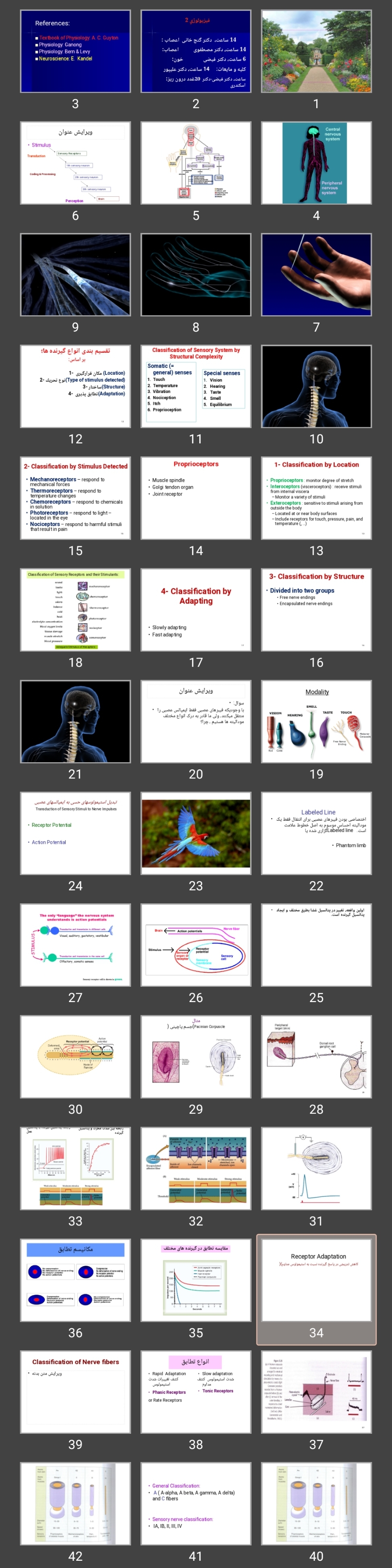 پاورپوینت sensory receptors