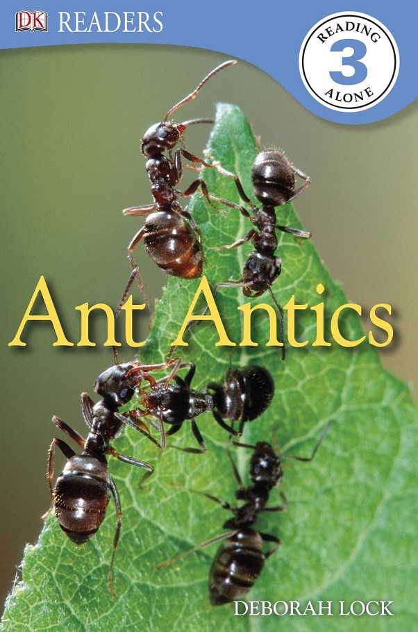 دانلود کتاب انگیسی مورچه های عجیب