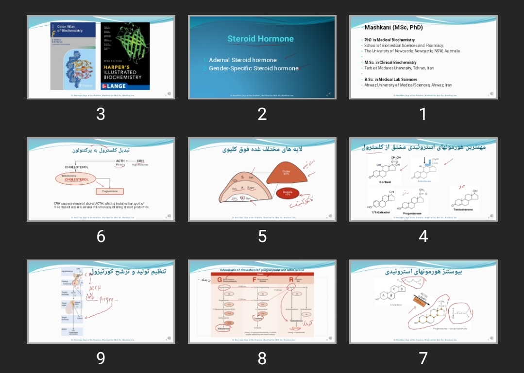 پاورپوینت Steroid Hormone