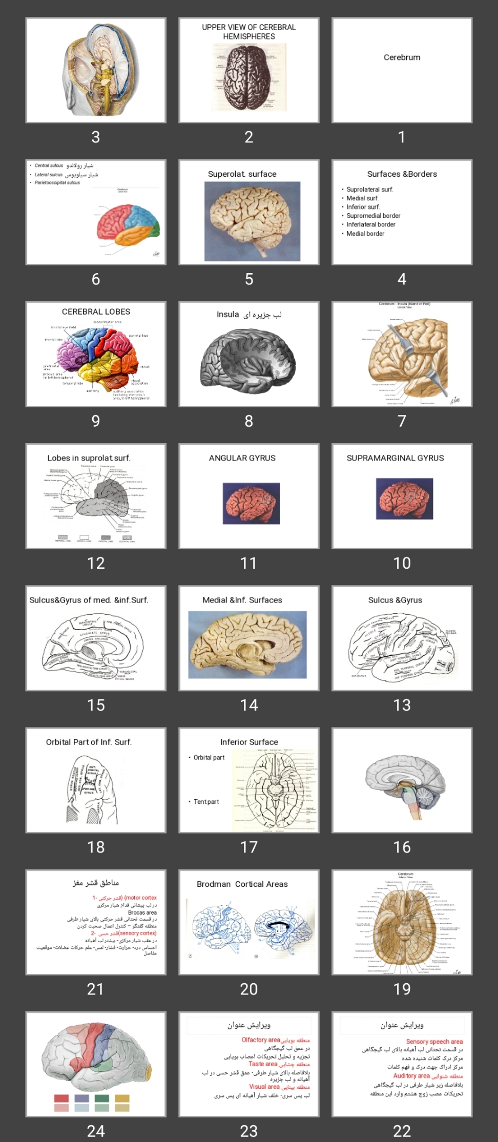 پاورپوینت Cerebrum