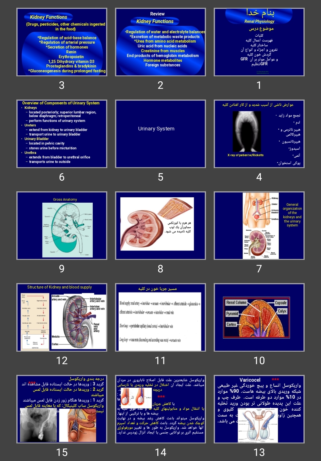 پاورپوینت کلیات، فهرست اعمال کلیه، ساختار کلیه، نفرون و اجزاء و انواع آن، گردش خون کلیه،  GFRو عوامل موثر بر آن ،تنظیم GFR
