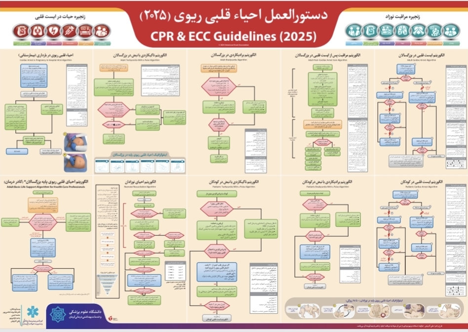 دستورالعمل احیا قلبی ریوی سال ۲۰۲۵
