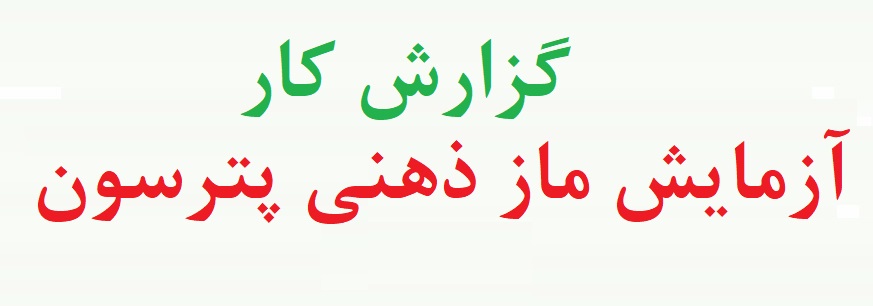 آزمایش ماز ذهنی روانشناسی تجربی - ازمایش ماز ذهنی پترسون - ماز ذهنی 12 شاخه