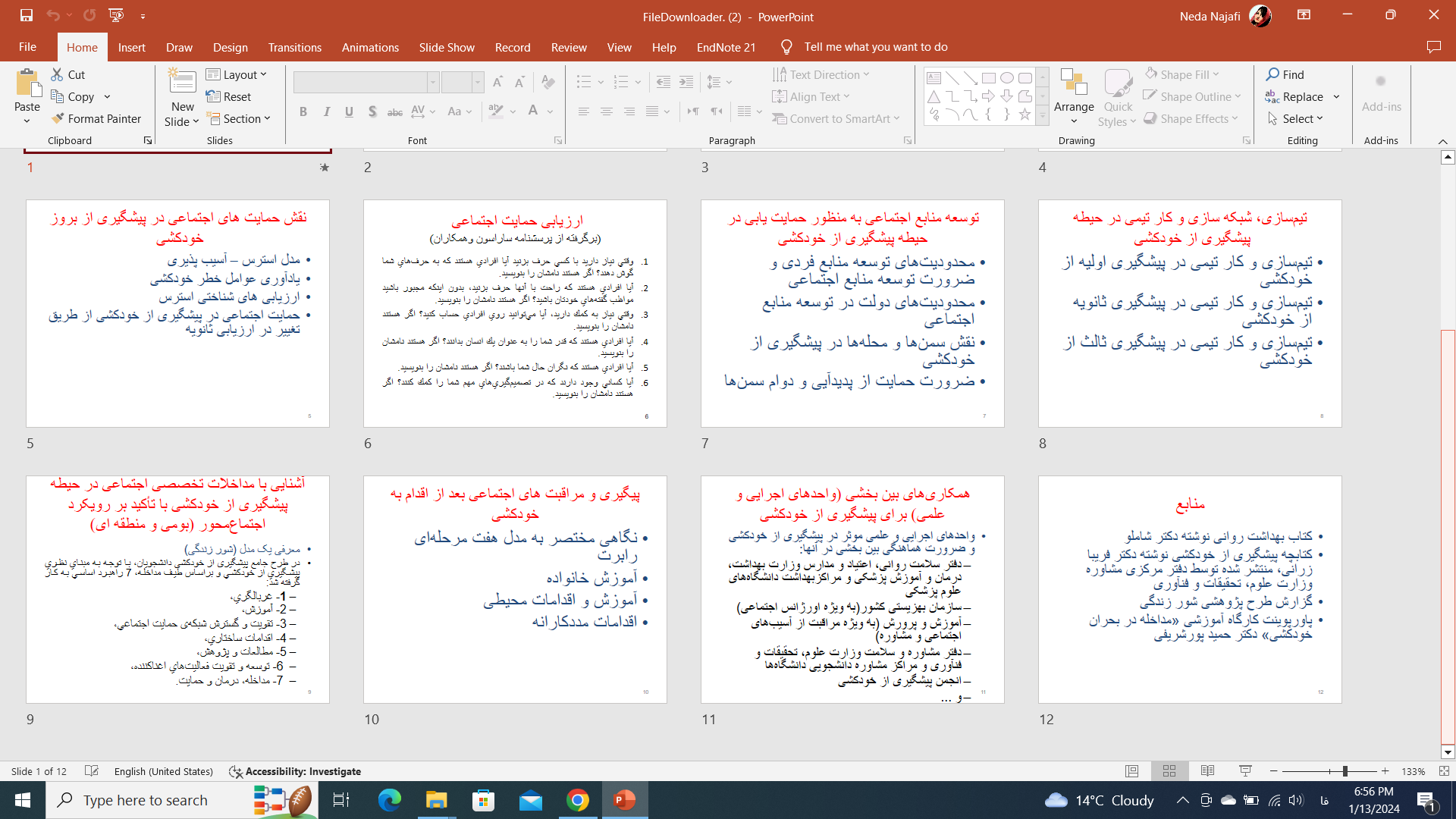 پاورپوینت حمایت اجتماعی و خودکشی