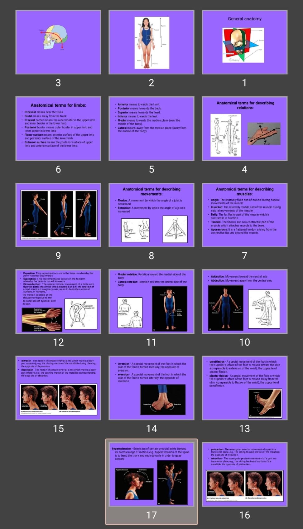 پاورپوینت General anatomy