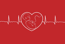   پاورپوینت ضربان قلب جنین FETAL HEART RATE