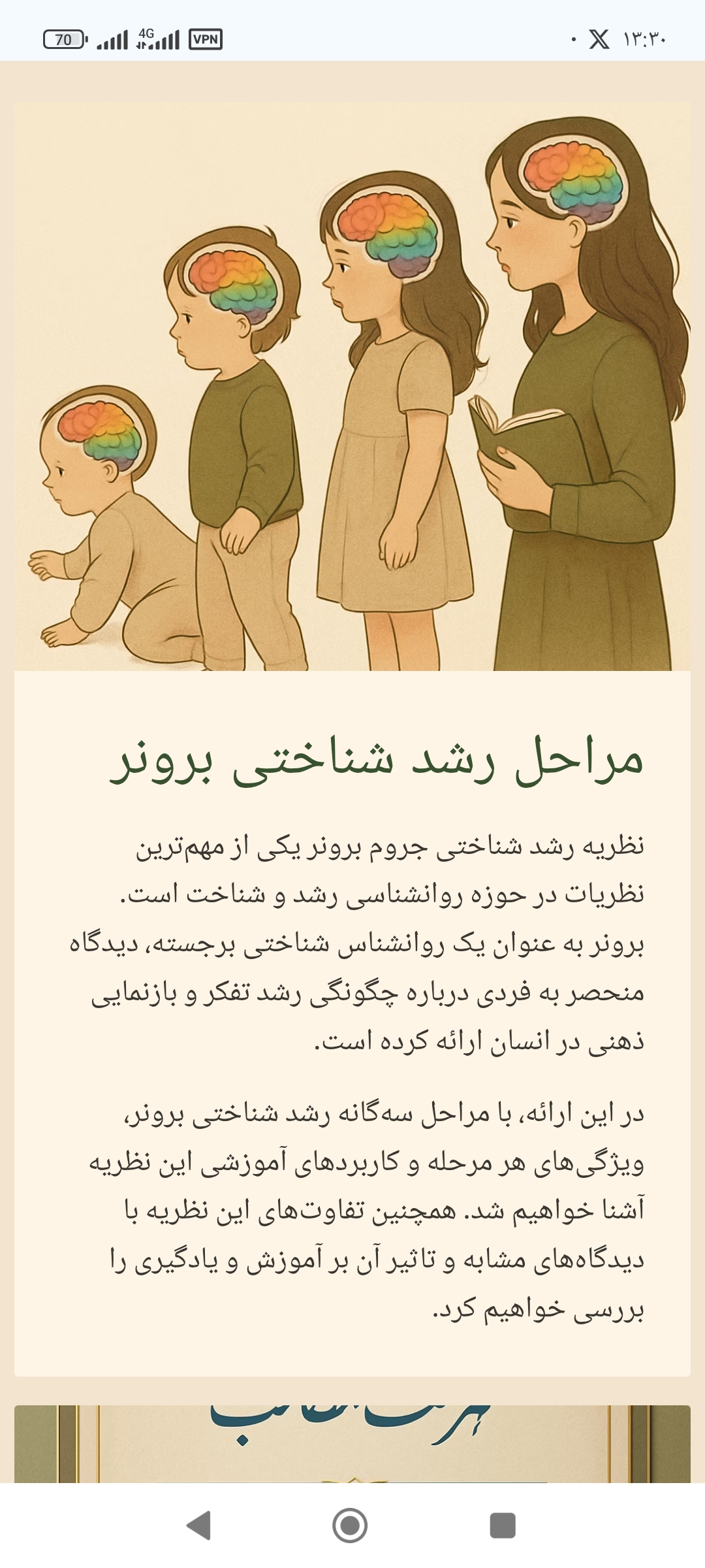 مراحل رشد برونر