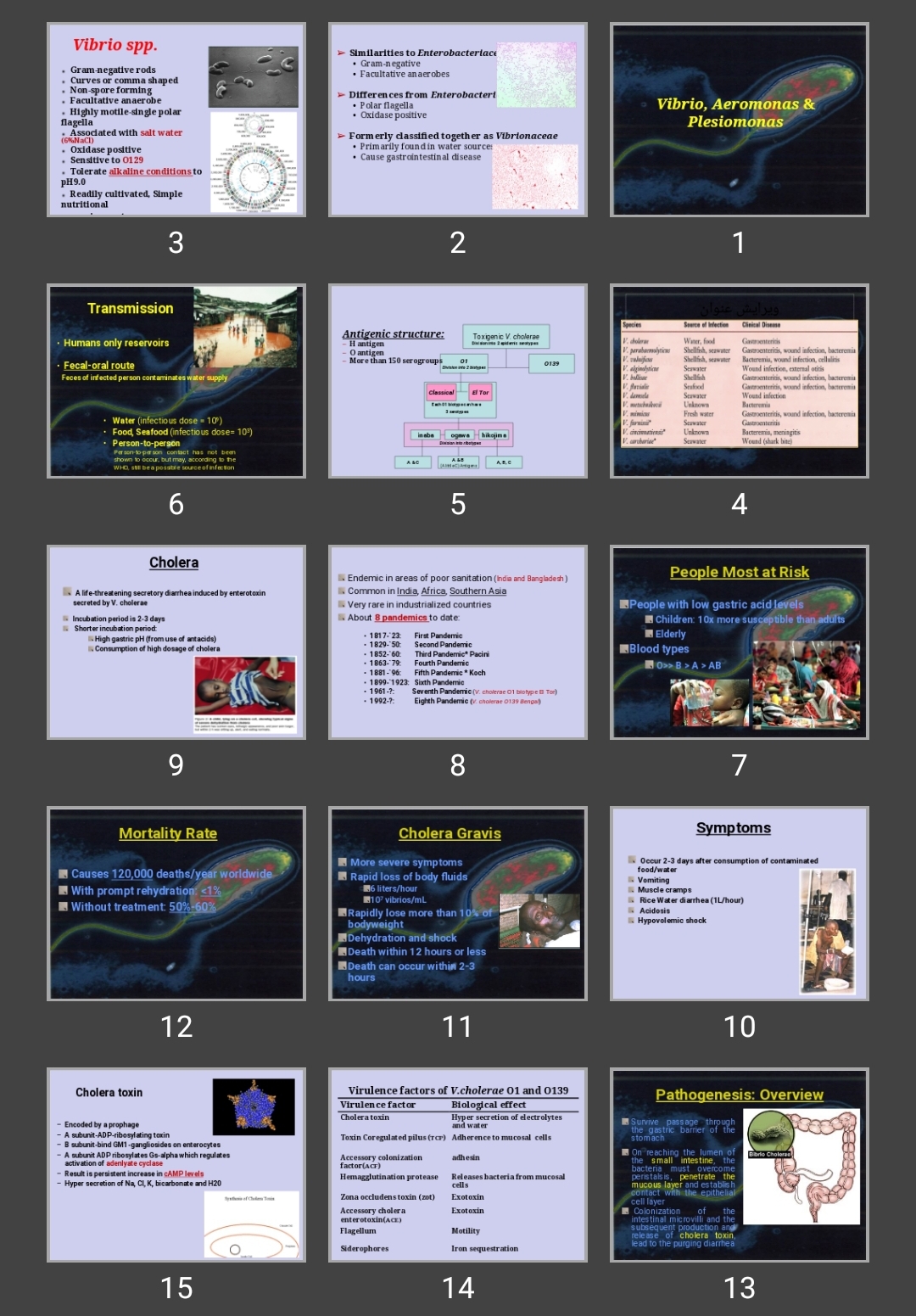 پاورپوینت Vibrio, Aeromonas & Plesiomonas