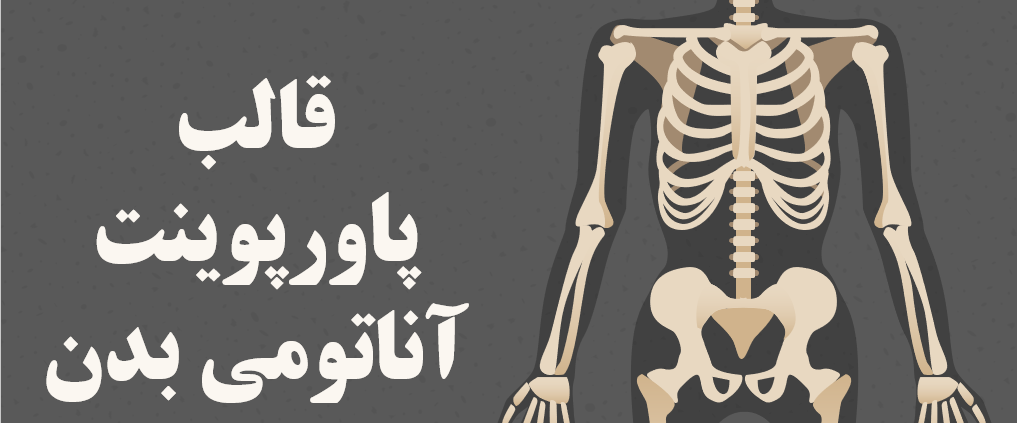 پاورپوینت آناتومی بدن ppt