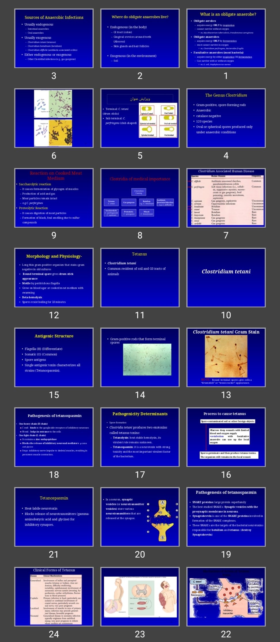 پاورپوینت کلستریدیوم Clostridium