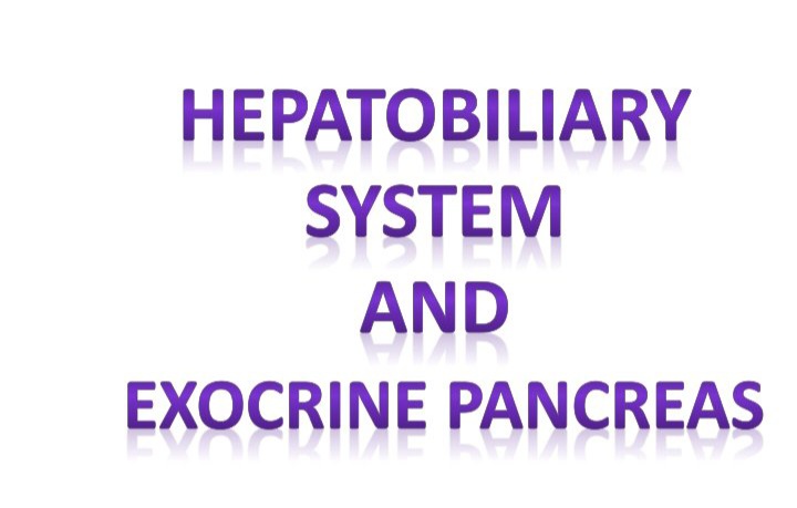 جزوه سیستم کبدی صفراوی و پانکراس اگزوکرین - ۱۰۸ صفحه