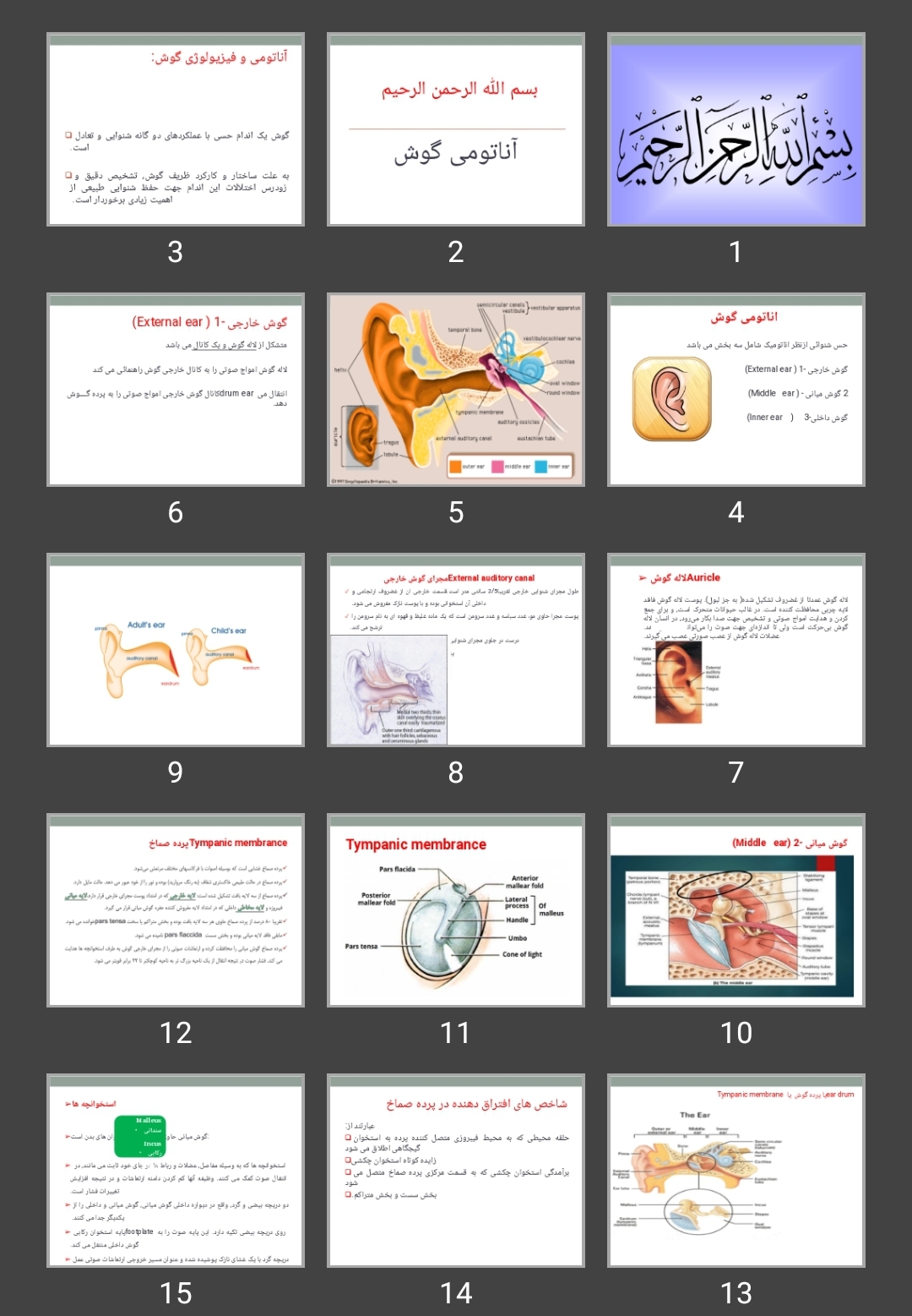 پاورپوینت آناتومی و فیزیولوژی گوش