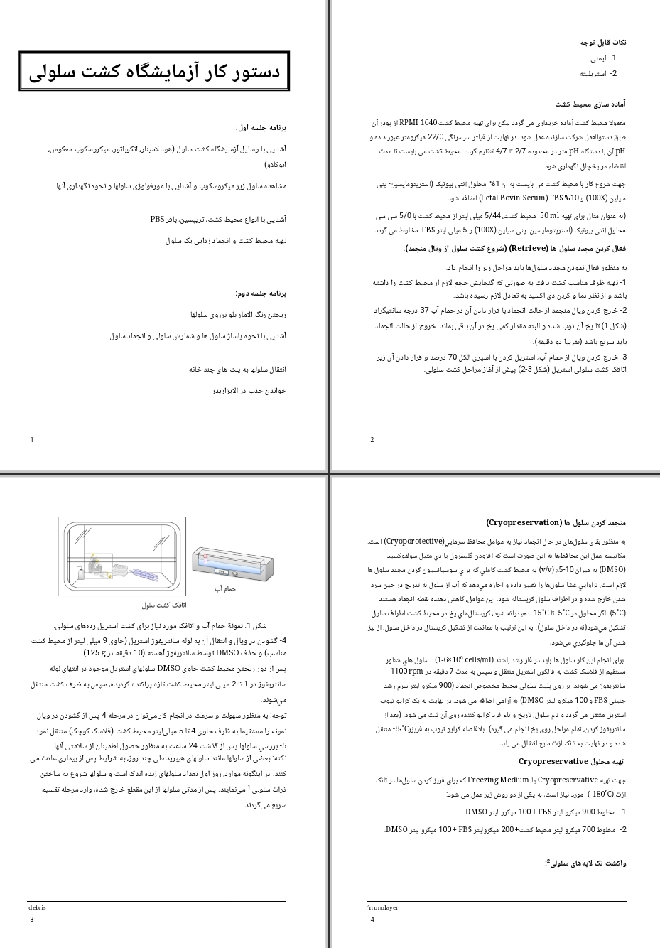 دستور کار آزمایشگاه کشت سلولی