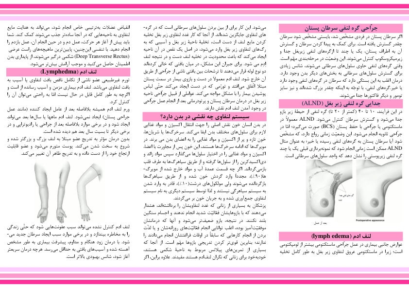 (نسخه کامل)✅           📝جزوه: لنفاوی              🖊استاد: مهرداد پاینده              🏛 دانشگاه علوم پزشکی کرمانشاه