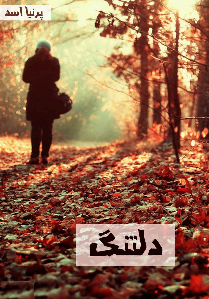 رمان دلتنگ