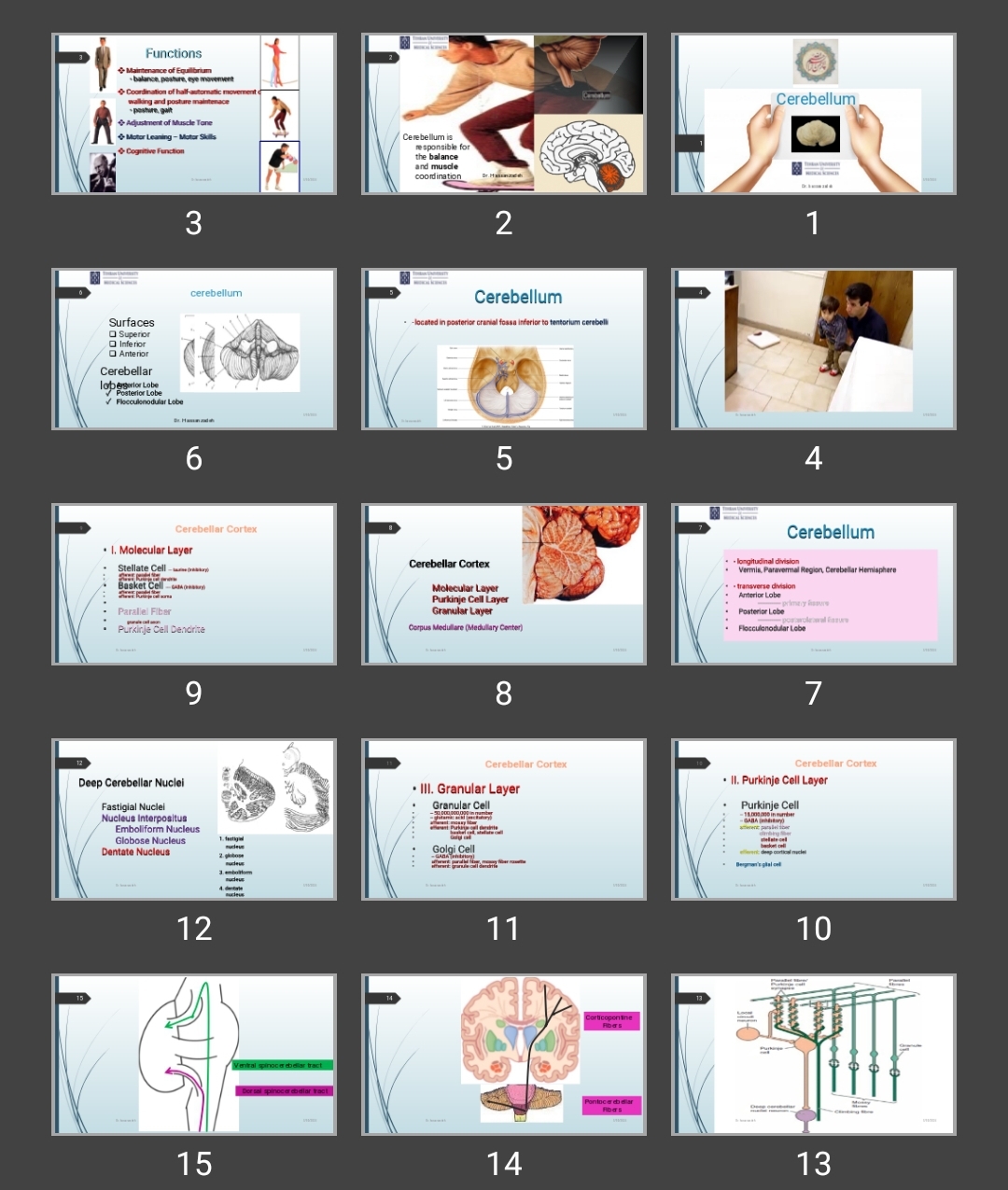 پاورپوینت Cerebellum