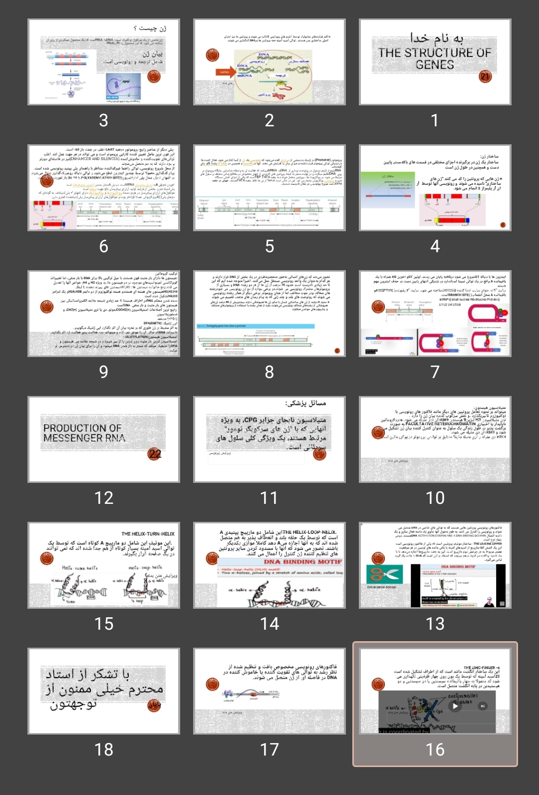 پاورپوینت THE STRUCTURE OF GENES