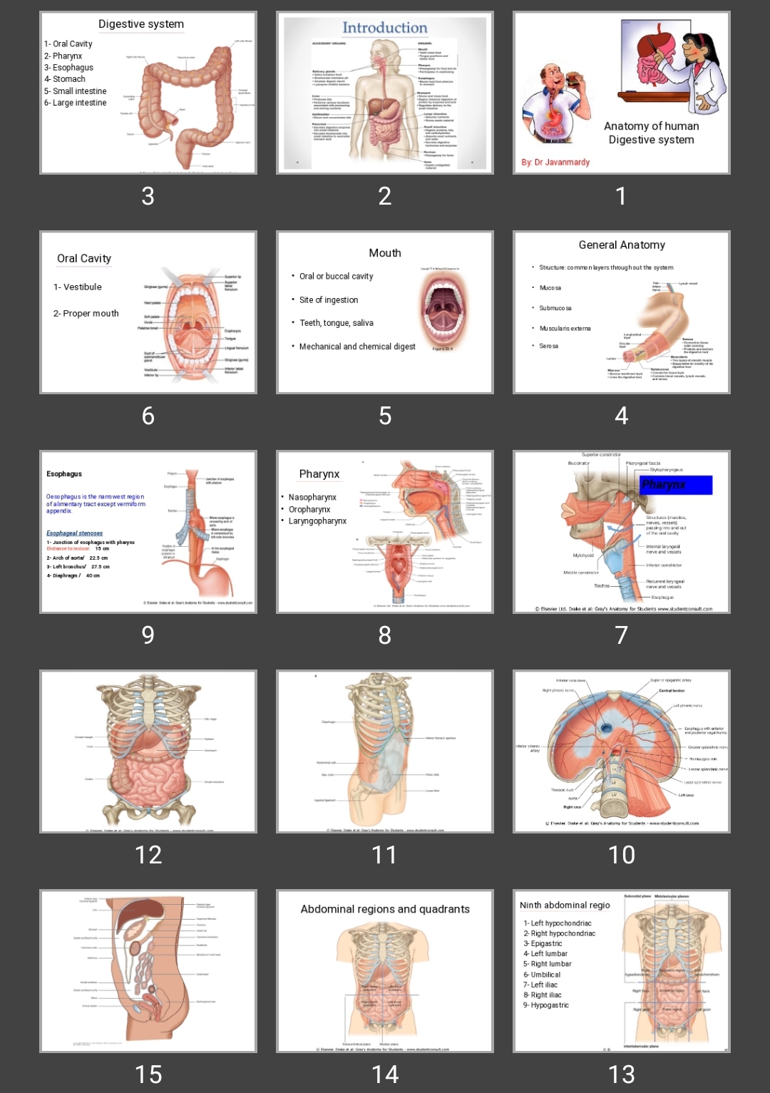 پاورپوینت (سیستم گوارش) Digestive system