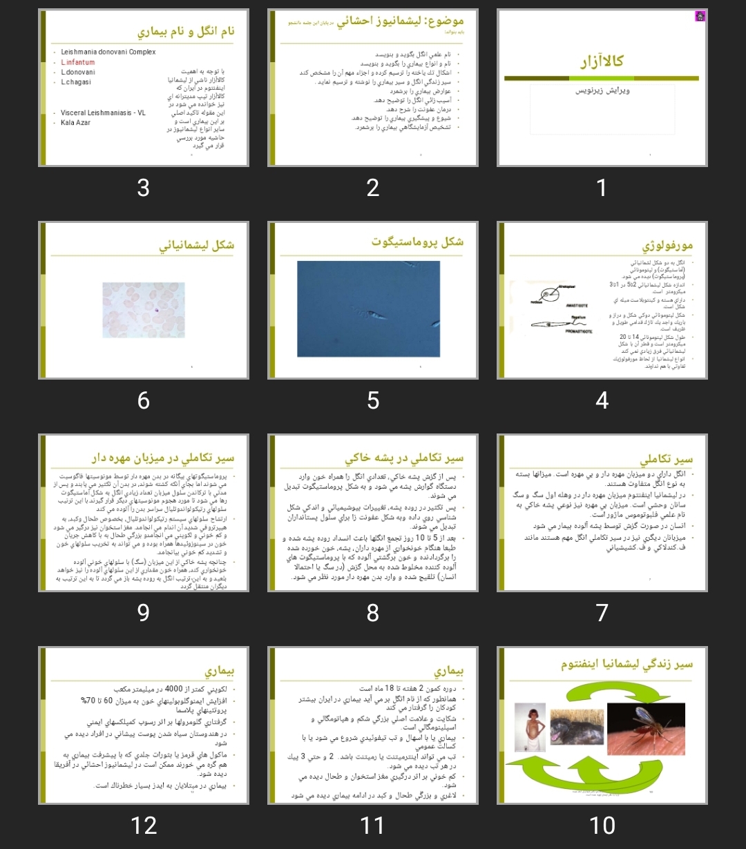 پاورپوینت كالاآزار