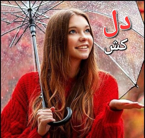 رمان دلکش