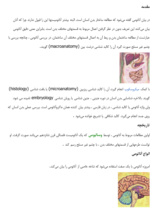 (نسخه کامل)✅           📝جزوه: آناتومی