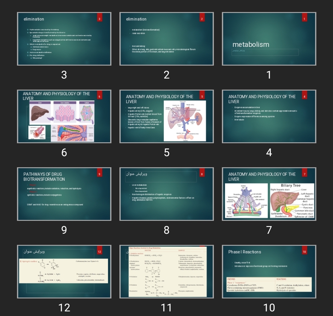 پاورپوینت hepatic metabolism