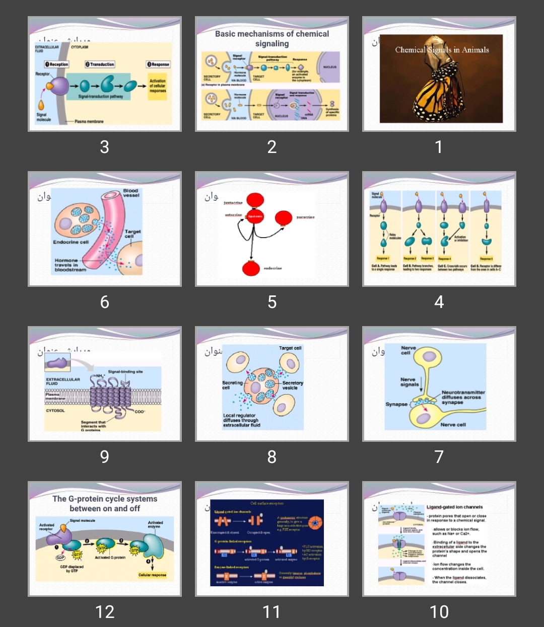 پاورپوینت signal transduction