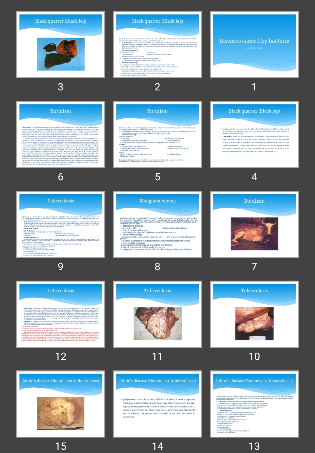 پاورپوینت Diseases caused by bacteria