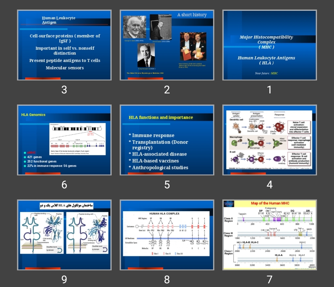 پاورپوینت Major Histocompatibility Complex  (MHC)