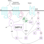 نبرد با اعتیاد از طریق نانوذرات