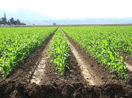 پاورپوینت،مدیریت بحران و مقایسه بحران‌های طبیعی و غیر‌طبیعی،53 اسلاید،pptx