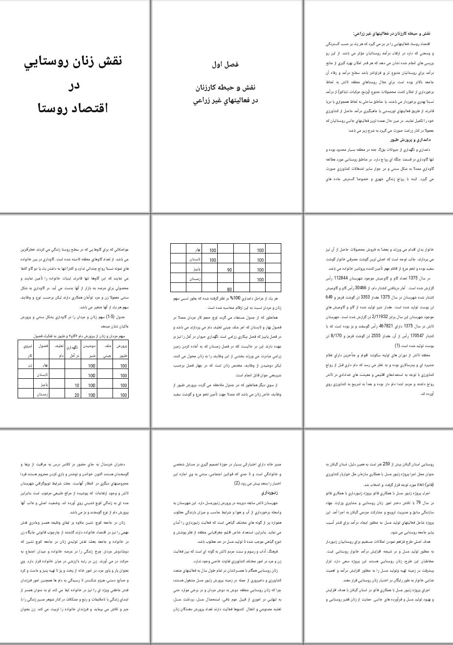 پايان نامه نقش زنان روستايی در اقتصاد روستا